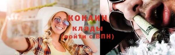 прущие грибы Ростов
