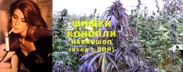 прущие грибы Ростов
