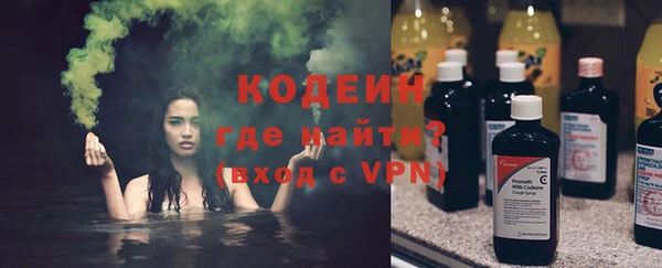 прущие грибы Ростов