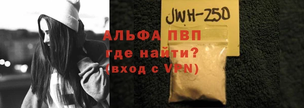 стафф Протвино