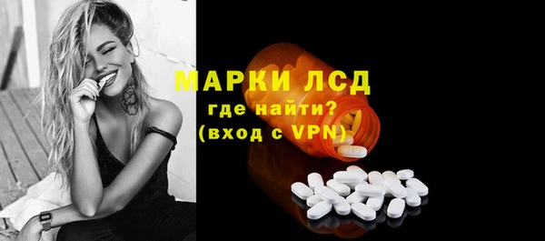 прущие грибы Ростов