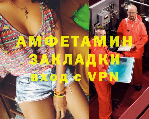 прущие грибы Ростов
