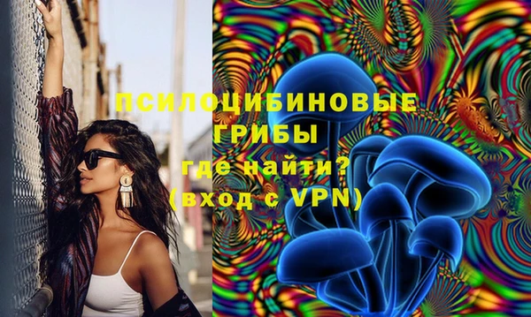 твердый Рославль