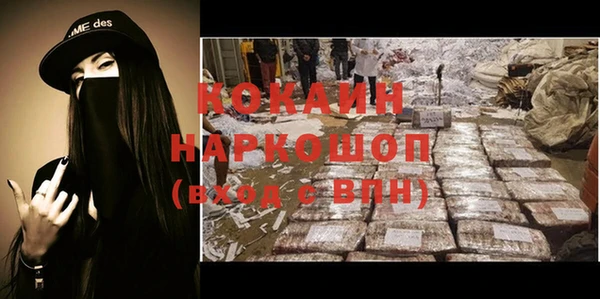 прущие грибы Ростов