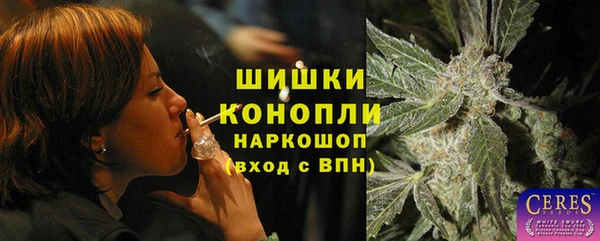 стафф Протвино