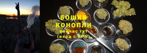 стафф Протвино