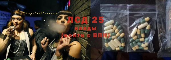 прущие грибы Ростов